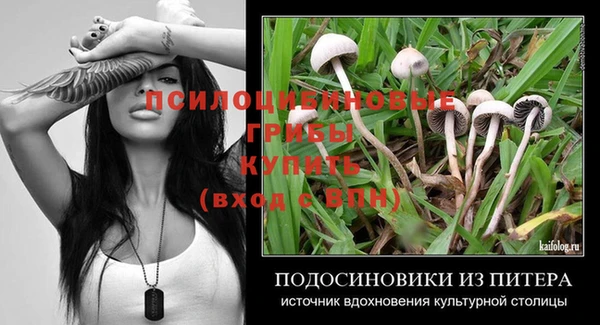 кокс Белокуриха