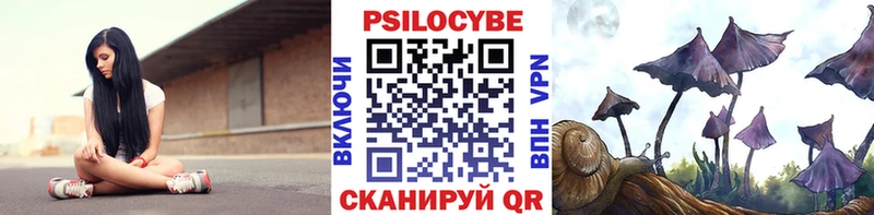 Псилоцибиновые грибы MAGIC MUSHROOMS  закладки  Ядрин 